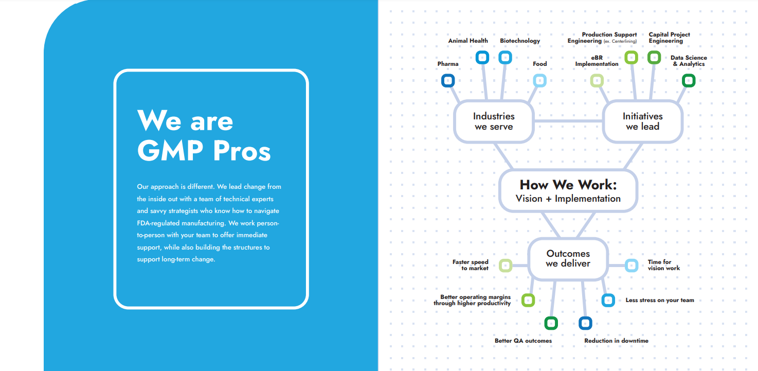 GMP Pros explanation of how they work, including vision, implementation, industries served, and initiatives led