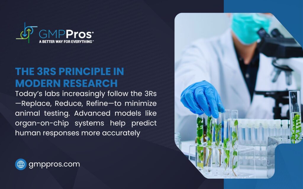 A scientist in a lab using a microscope and handling plant samples, illustrating the 3Rs principle (Replace, Reduce, Refine) in modern research to minimize animal testing with organ-on-chip systems.